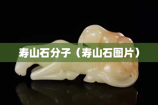 壽山石分子（壽山石圖片）
