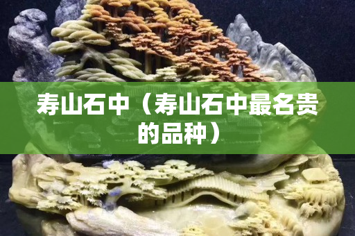 壽山石中（壽山石中最名貴的品種）