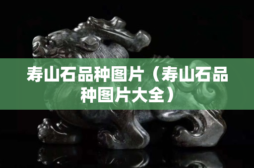 壽山石品種圖片（壽山石品種圖片大全）