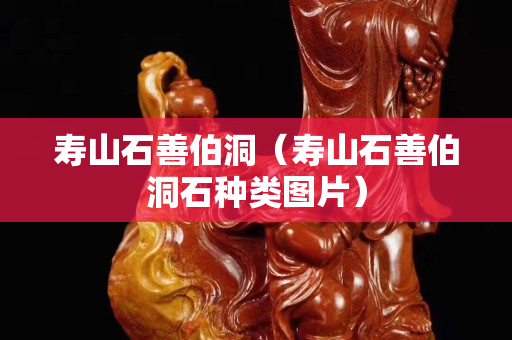 壽山石善伯洞（壽山石善伯洞石種類圖片）