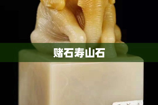 賭石壽山石