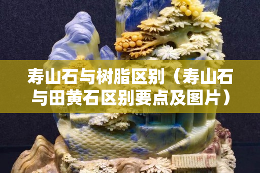 壽山石與樹脂區別（壽山石與田黃石區別要點及圖片）