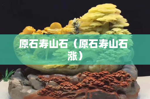 原石壽山石（原石壽山石 漲）