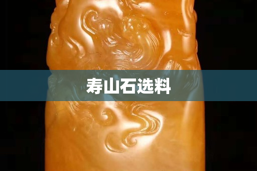 壽山石選料