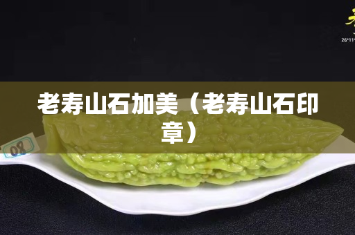 老壽山石加美（老壽山石印章）