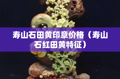 壽山石田黃印章價格（壽山石紅田黃特征）