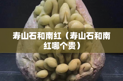 壽山石和南紅（壽山石和南紅哪個貴）