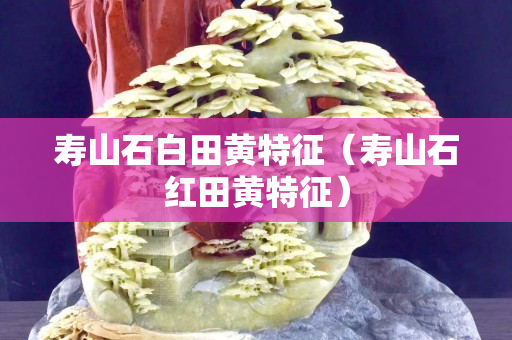 壽山石白田黃特征（壽山石紅田黃特征）
