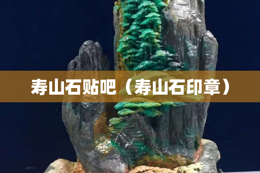 壽山石貼吧（壽山石印章）