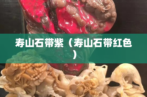 壽山石帶紫（壽山石帶紅色）