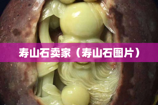 壽山石賣家（壽山石圖片）