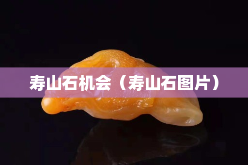 壽山石機會（壽山石圖片）