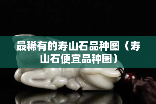 最稀有的壽山石品種圖（壽山石便宜品種圖）