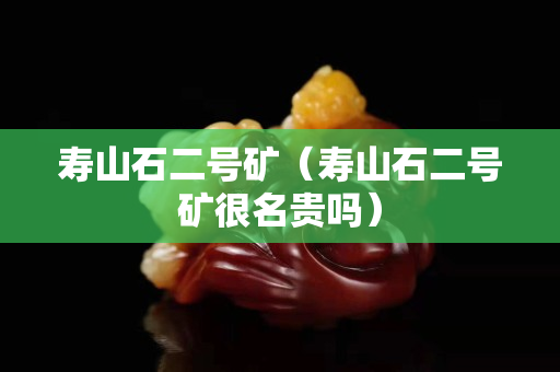 壽山石二號(hào)礦（壽山石二號(hào)礦很名貴嗎）