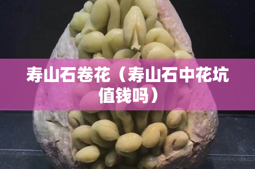 壽山石卷花（壽山石中花坑值錢嗎）