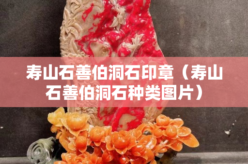 壽山石善伯洞石印章（壽山石善伯洞石種類圖片）