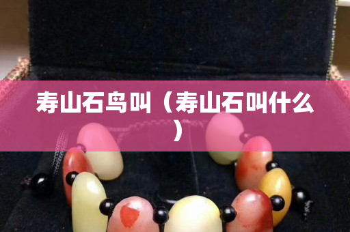 壽山石鳥叫（壽山石叫什么）