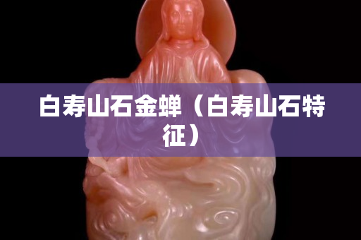 白壽山石金蟬（白壽山石特征）