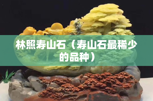 林照壽山石（壽山石最稀少的品種）