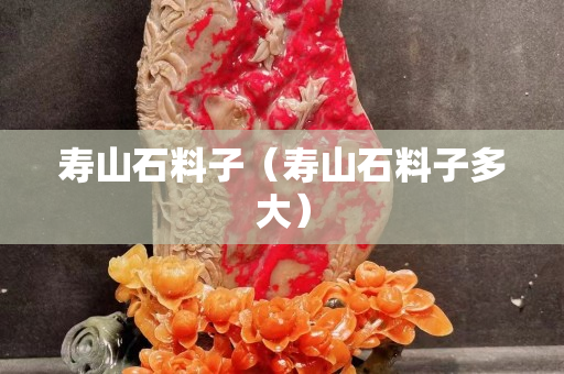 壽山石料子（壽山石料子多大）