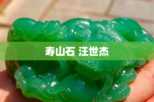 壽山石 汪世杰