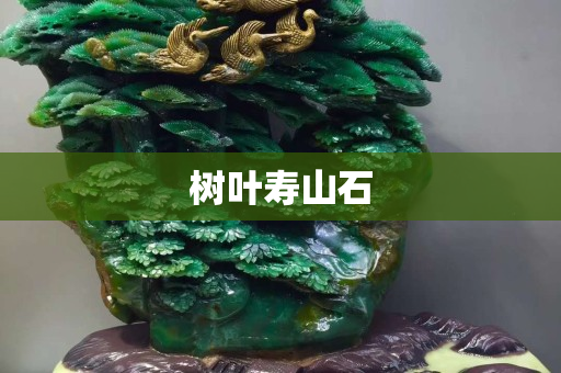 樹葉壽山石