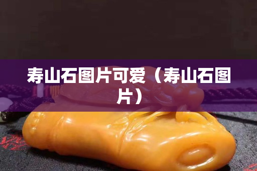 壽山石圖片可愛（壽山石圖片）