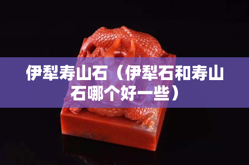 伊犁壽山石（伊犁石和壽山石哪個好一些）
