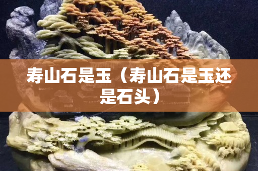 壽山石是玉（壽山石是玉還是石頭）