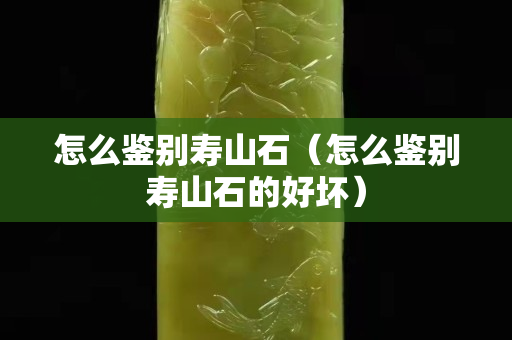 怎么鑒別壽山石（怎么鑒別壽山石的好壞）