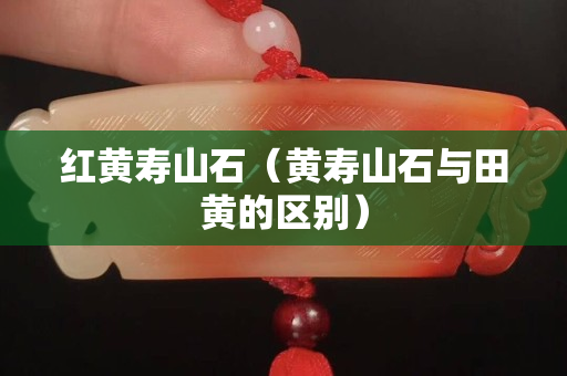 紅黃壽山石（黃壽山石與田黃的區別）