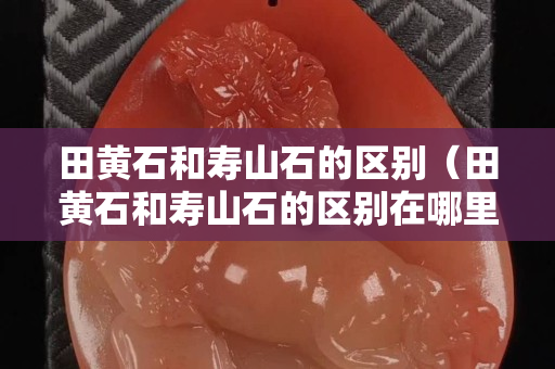 田黃石和壽山石的區別（田黃石和壽山石的區別在哪里）