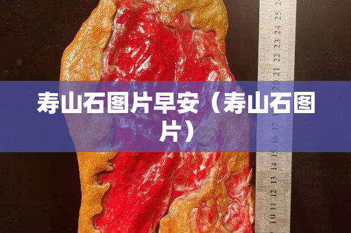 壽山石圖片早安（壽山石圖片）