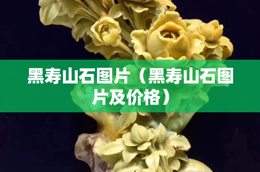 黑壽山石圖片（黑壽山石圖片及價格）