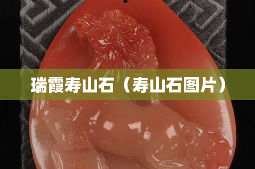 瑞霞壽山石（壽山石圖片）