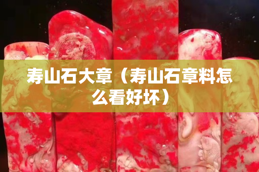 壽山石大章（壽山石章料怎么看好壞）