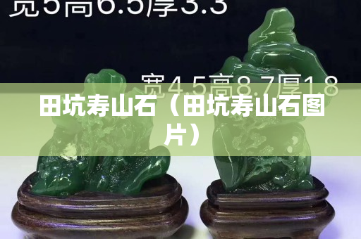 田坑壽山石（田坑壽山石圖片）