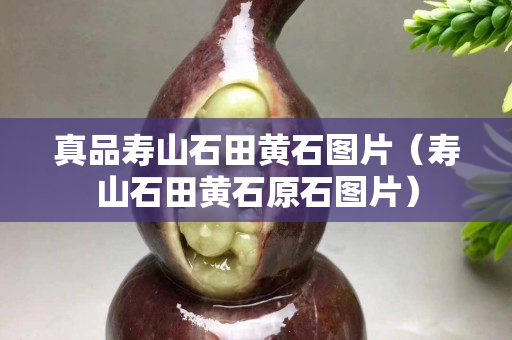 真品壽山石田黃石圖片（壽山石田黃石原石圖片）