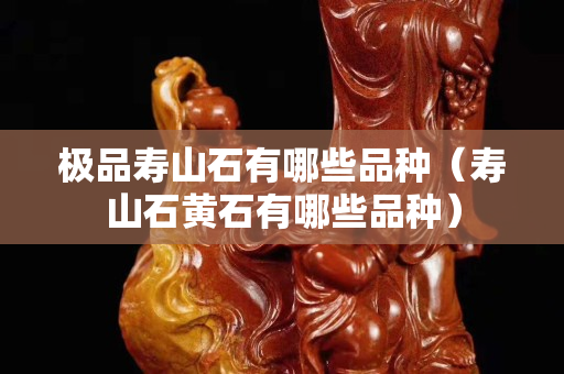 極品壽山石有哪些品種（壽山石黃石有哪些品種）