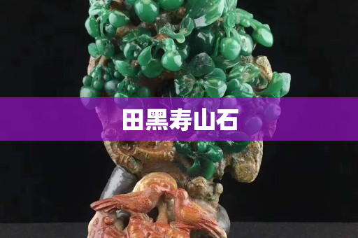 田黑壽山石