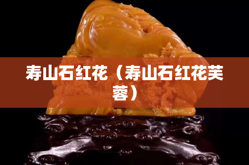 壽山石紅花（壽山石紅花芙蓉）