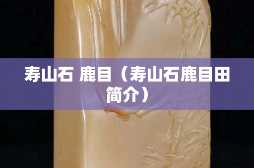 壽山石 鹿目（壽山石鹿目田簡介）