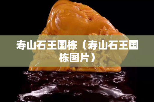 壽山石王國棟（壽山石王國棟圖片）