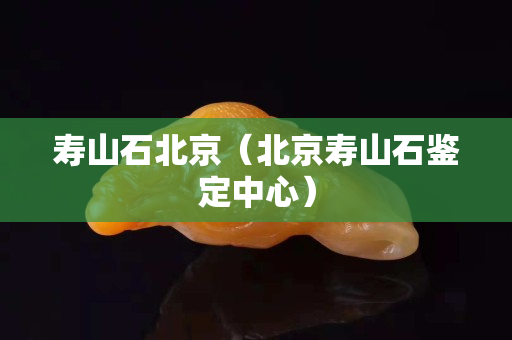 壽山石北京（北京壽山石鑒定中心）