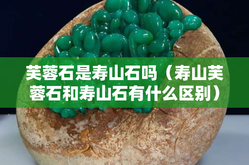 芙蓉石是壽山石嗎（壽山芙蓉石和壽山石有什么區別）