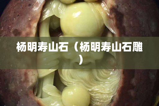 楊明壽山石（楊明壽山石雕）