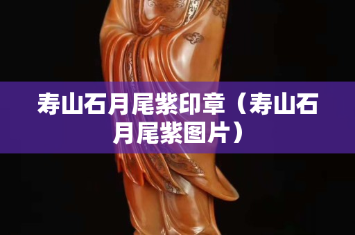 壽山石月尾紫印章（壽山石月尾紫圖片）