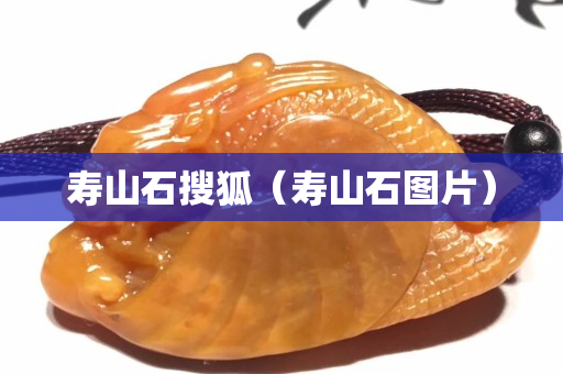 壽山石搜狐（壽山石圖片）