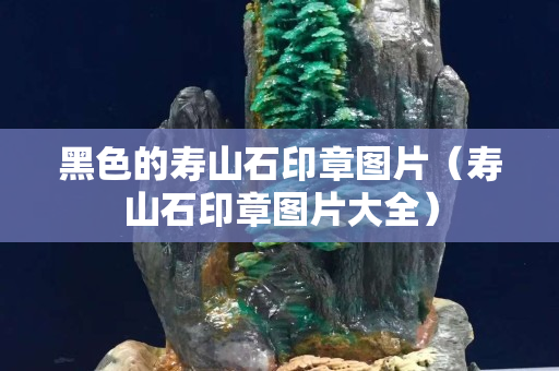 黑色的壽山石印章圖片（壽山石印章圖片大全）