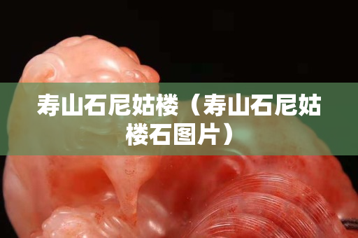 壽山石尼姑樓（壽山石尼姑樓石圖片）